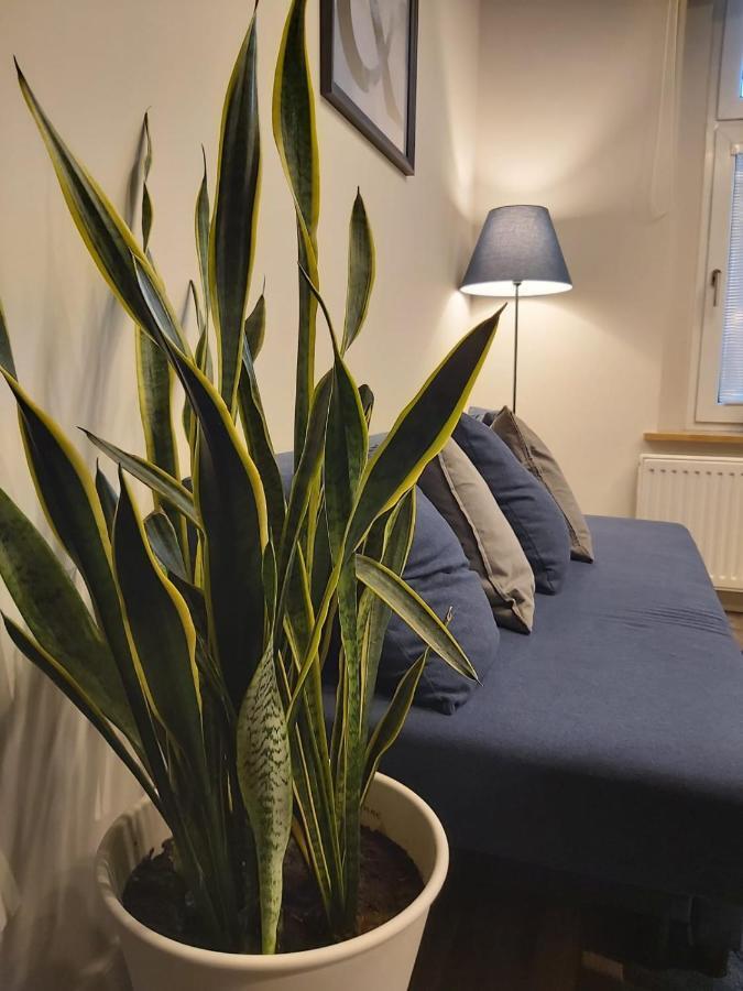 Apartament Na Wyspie Opole Bagian luar foto